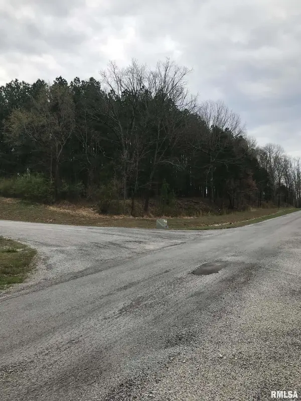 Lot 287 Parrish Ridge LN, Goreville, IL 62939