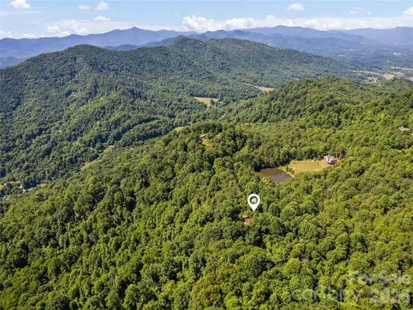 51 Stony Pond LN, Canton, NC 28716
