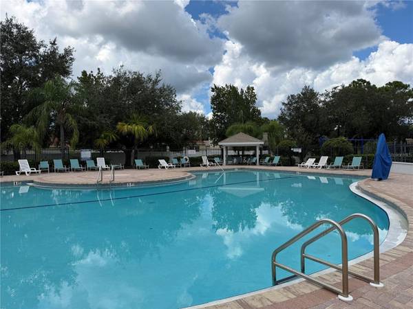 10919 BANYAN WOOD WAY, Riverview, FL, 33579 photo 19