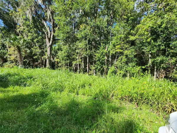 00 COUNTY ROAD 329, Micanopy, FL 32667