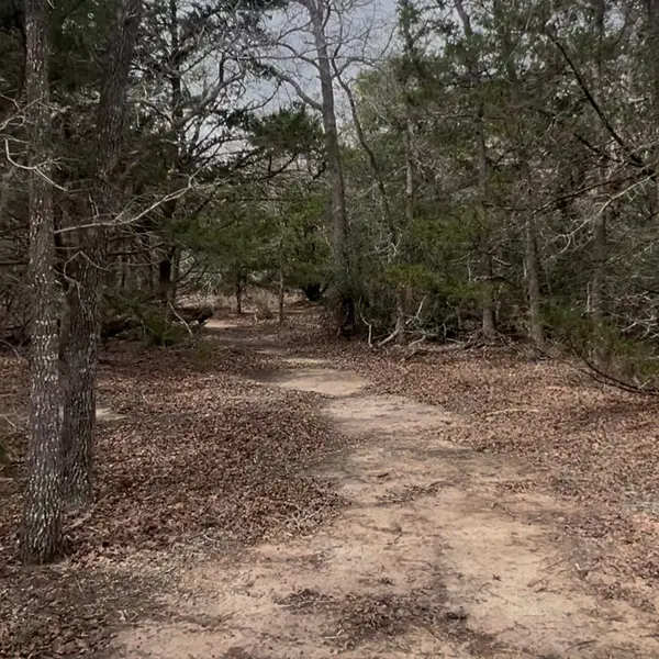 Lot 14 & Lot 15 Antioch RD, Paige, TX 78659