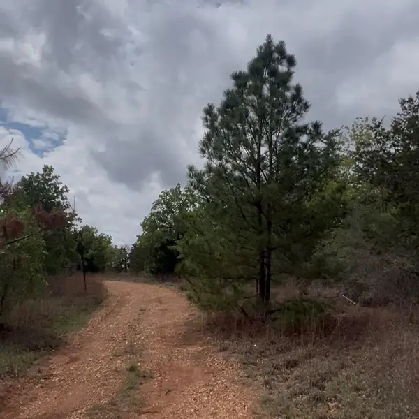 Lot 14 & Lot 15 Antioch RD, Paige, TX 78659