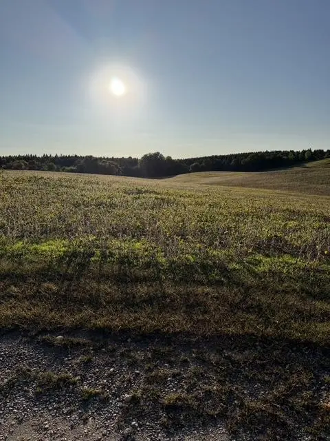406XX Placid DR, Dent, MN 56528