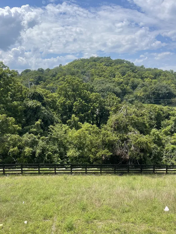 213 Berry Hunter Lane, Franklin, TN 37067
