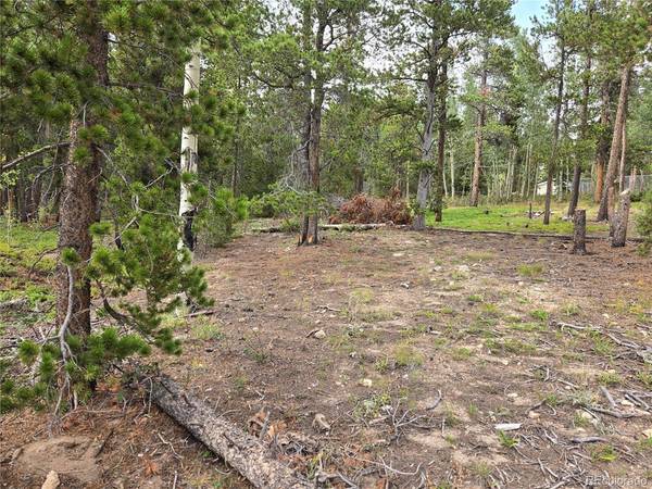 1 Tiber, Black Hawk, CO 80422