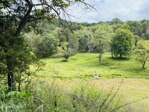 0 Cantwell Valley Rd, Sneedville, TN 37869