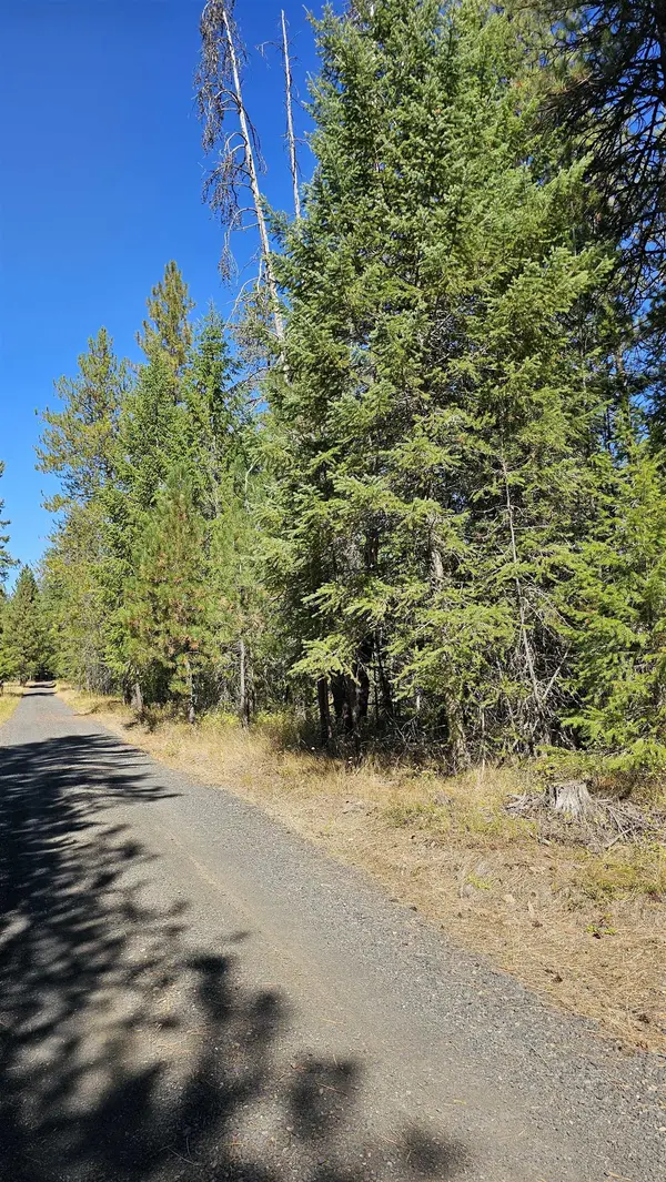 385X Agar Rd, Loon Lake, WA 99148