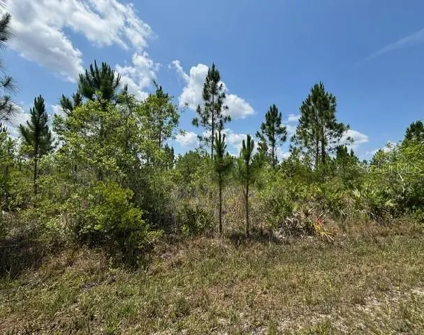 1015 CALLIANDRA DR, Indian Lake Estates, FL 33855