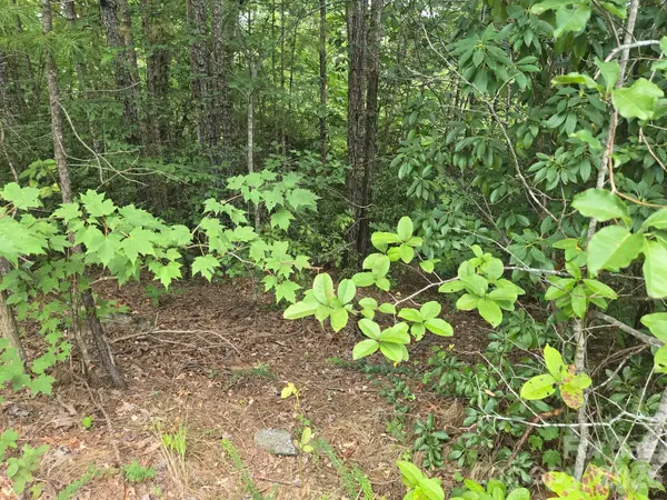 Lot 18 Highland HTS, Lake Lure, NC 28746