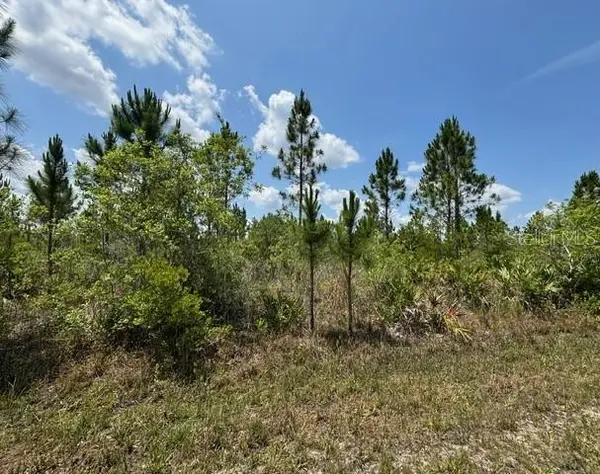 1015 CALLIANDRA DR, Indian Lake Estates, FL 33855