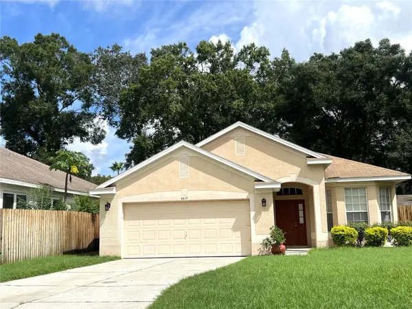 4615 DUNNIE DR, Tampa, FL 33614