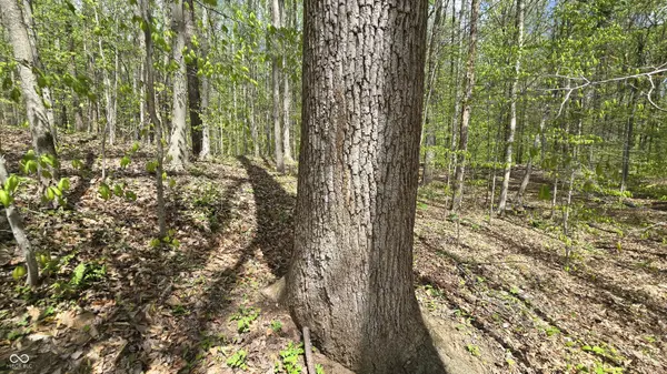 T2 E Cr 550 N, North Vernon, IN 47265