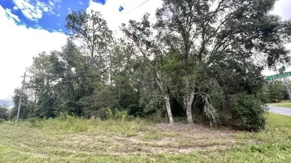 156 W GOLDCOAST PL, Citrus Springs, FL 34434