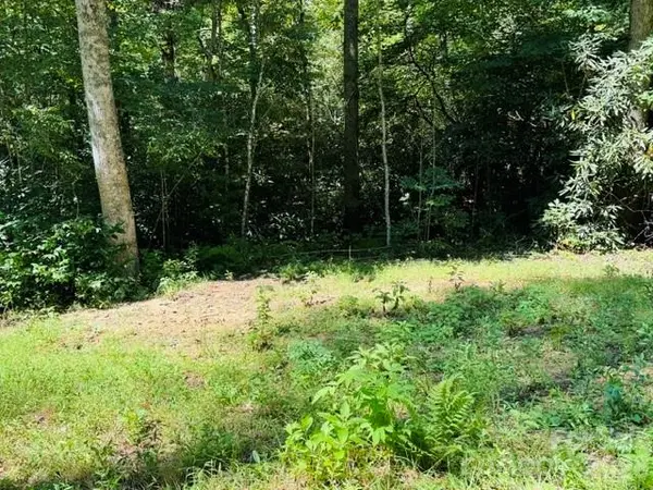 TBD Jane LN, Hendersonville, NC 28792