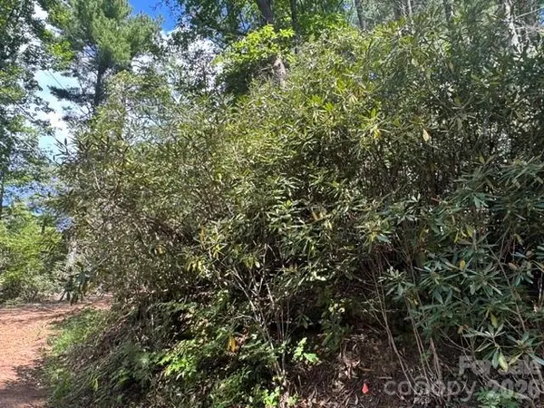 TBD Jane LN, Hendersonville, NC 28792