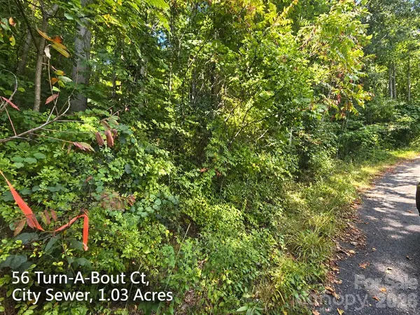 300 Turn-A-Bout CT #56, Maggie Valley, NC 28785