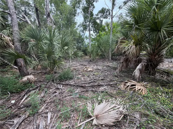 3405 VASCO ST, Punta Gorda, FL 33950