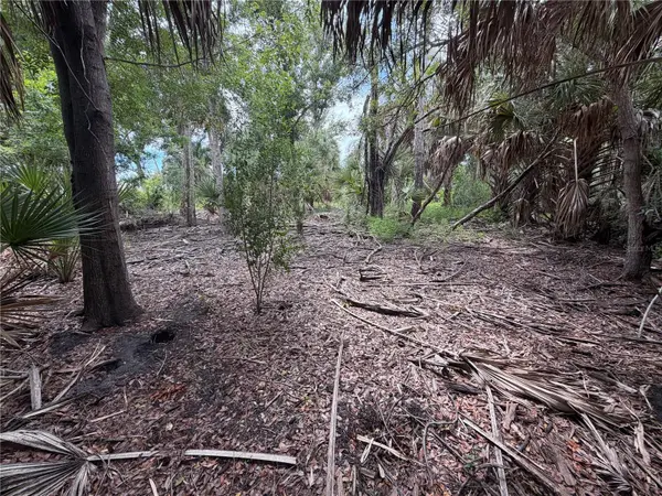 3405 VASCO ST, Punta Gorda, FL 33950