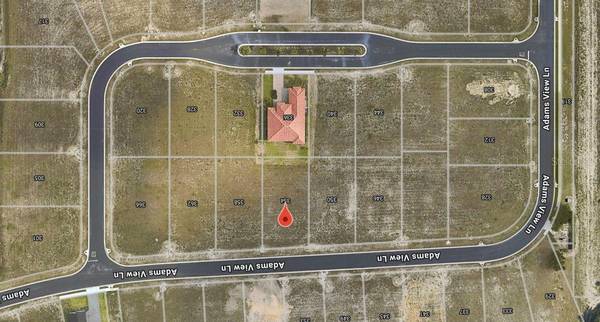 362 ADAMS VIEW LN, Auburndale, FL, 33823 photo 2