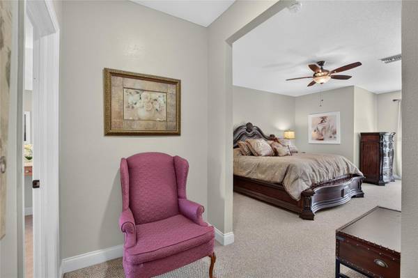 5518 LUMINAR POINTE LN, Apollo Beach, FL, 33572 photo 30