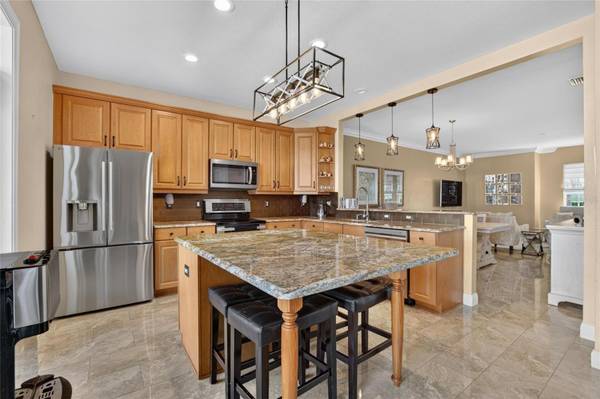 5518 LUMINAR POINTE LN, Apollo Beach, FL, 33572 photo 18