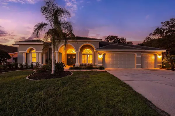 1003 KINGS WAY LN, Tarpon Springs, FL 34688
