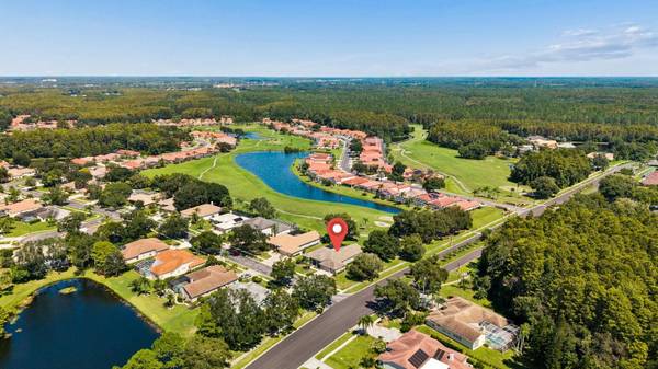 1003 KINGS WAY LN, Tarpon Springs, FL, 34688 photo 66
