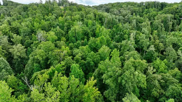1 Ridge Top Rd, Stewart, TN 37175