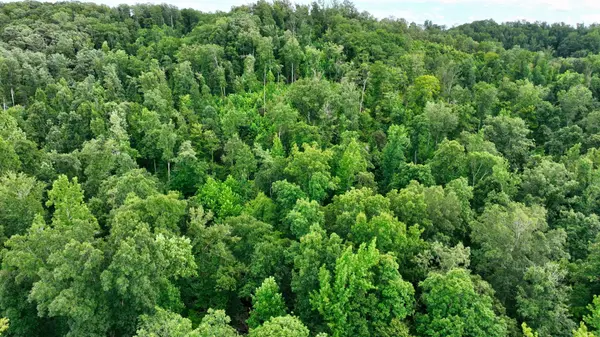 1 Ridge Top Rd, Stewart, TN 37175