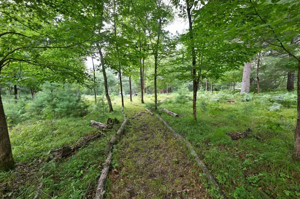 29163 Treasure Island Trail WAY, Danbury, WI 54830