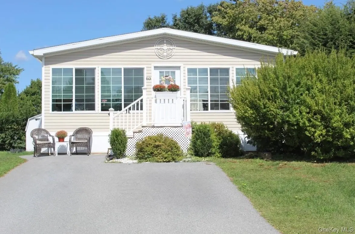 60 Celeste DR, Dover Plains, NY 12522