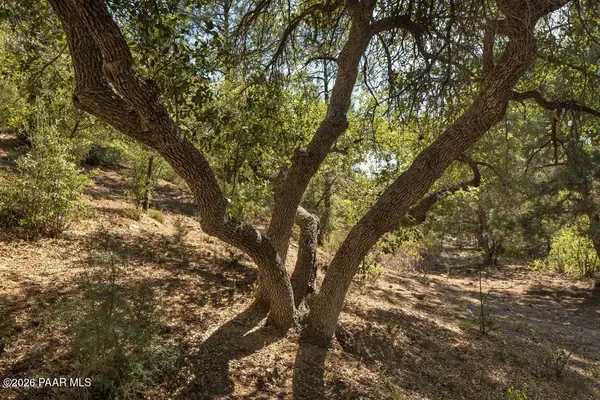 1177 Quiet CIR, Prescott, AZ 86303