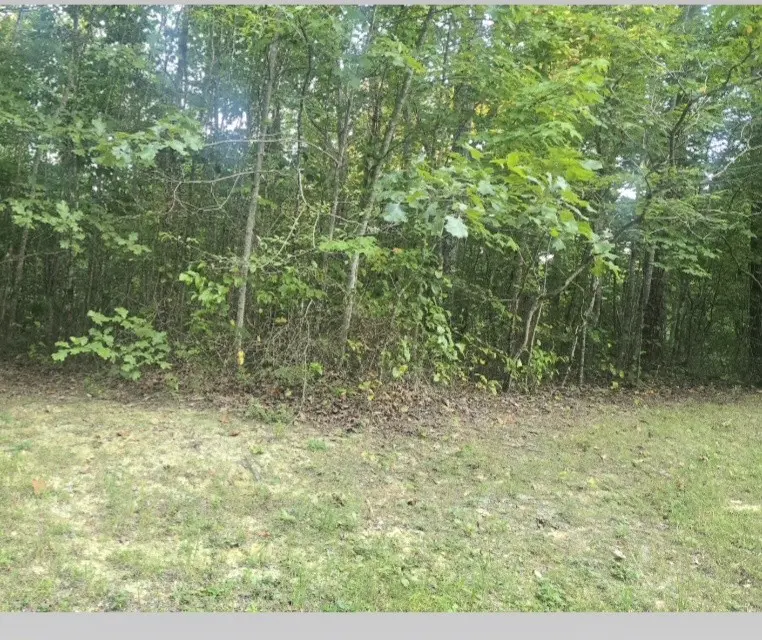 0 Calico Ln, Crawford, TN 38554