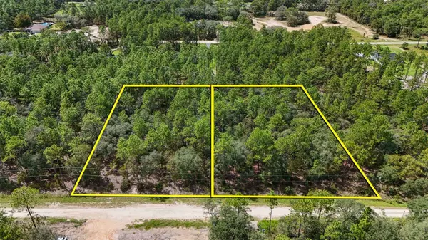 125TH TERRACE RD, Dunnellon, FL 34432