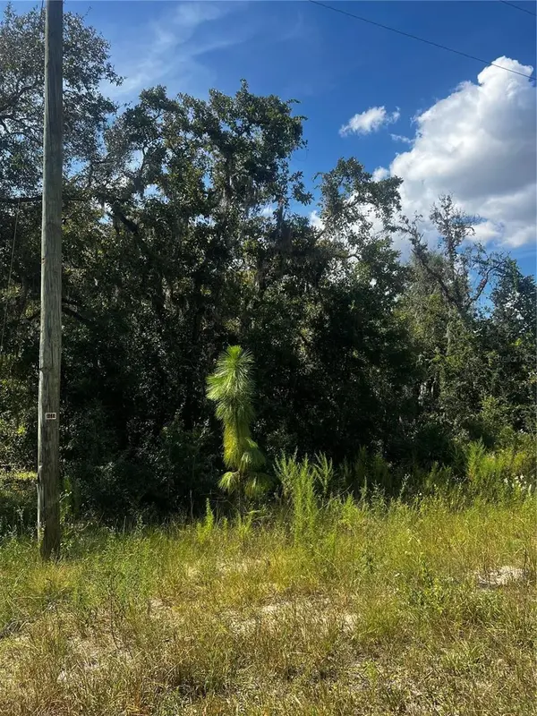 0 CRIDER RD, Weeki Wachee, FL 34614