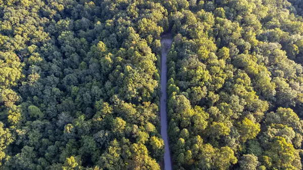 0 Calico Ln, Crawford, TN 38554