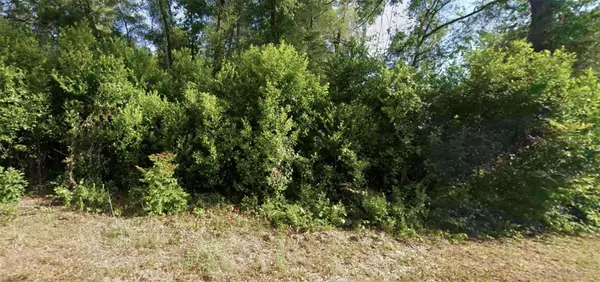 6315 E RECTOR ST, Inverness, FL 34452