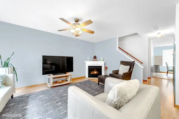 1265 S Saint Louis AVE, Chicago, IL 60623