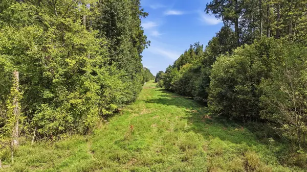 0 County Road 28, Calhoun, TN 37309