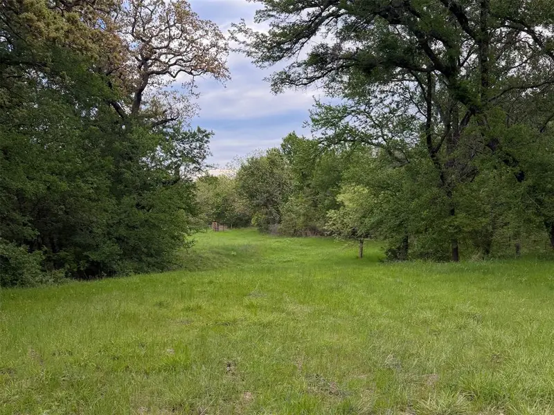 1576 Adell Circle, Peaster, TX 76088