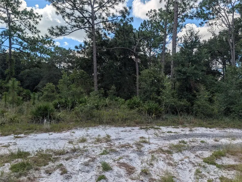 XXX WEDGEWOOD CIR, Mount Dora, FL 32757