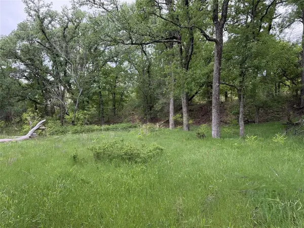 1576 Adell Circle, Peaster, TX 76088