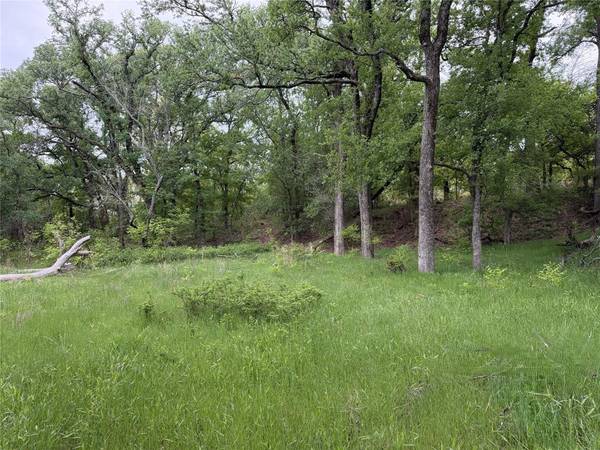 1576 Adell Circle, Peaster, TX 76088