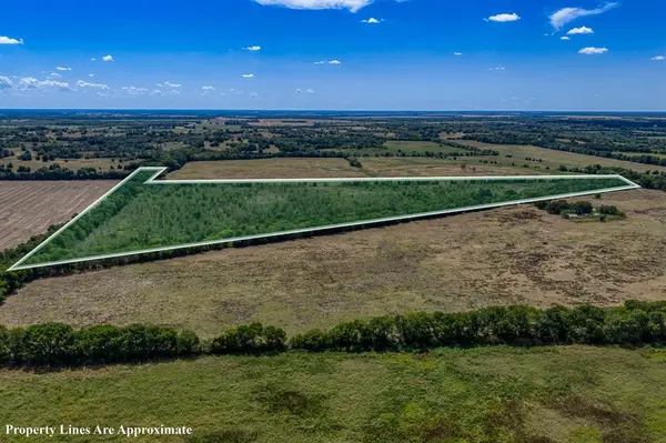 1 County Road 3505, Pecan Gap, TX 75469