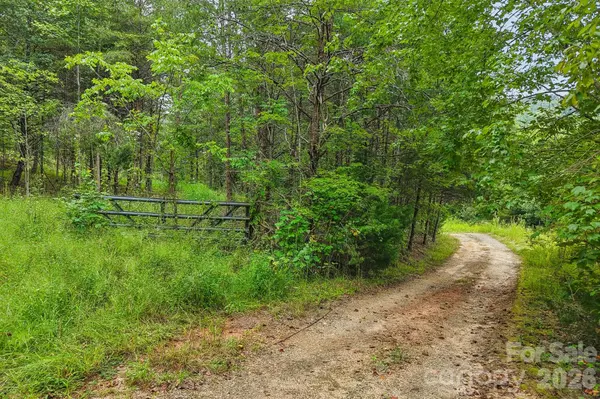 9999 Club House RD, Lake Lure, NC 28746