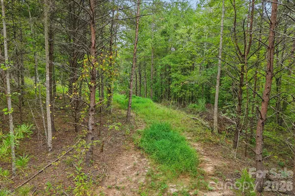 9999 Club House RD, Lake Lure, NC 28746