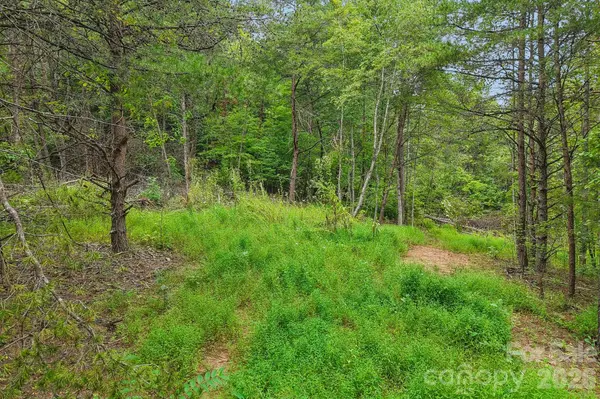 9999 Club House RD, Lake Lure, NC 28746