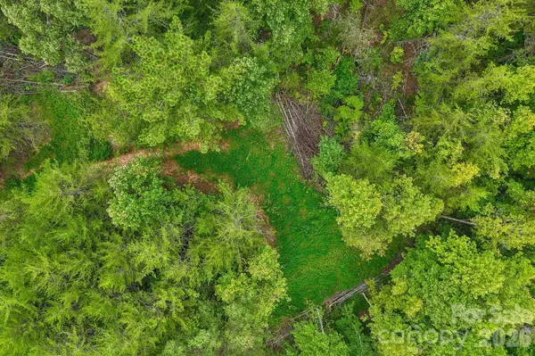 9999 Club House RD, Lake Lure, NC 28746