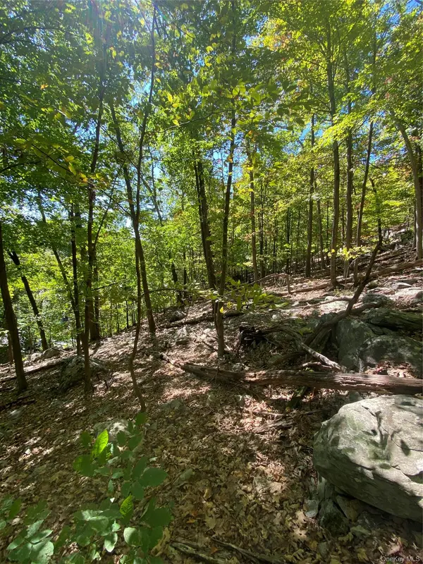 Louise LN, Greenwood Lake, NY 10925