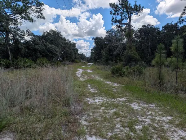 XXX WEDGEWOOD CIR, Mount Dora, FL 32757